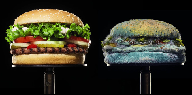 Burger King - Moldy Whopper (Cannes Lions 2021)